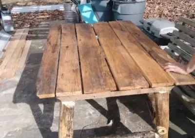 Amazing tree service