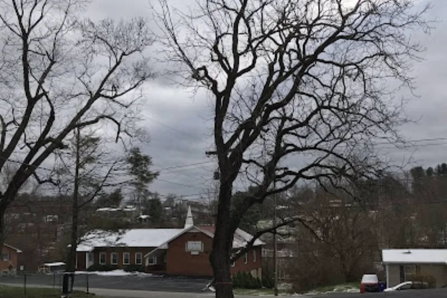 Professional tree expert in Radford, VA Professional tree expert in Radford, VA