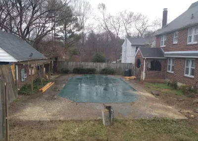 Top-rated tree service